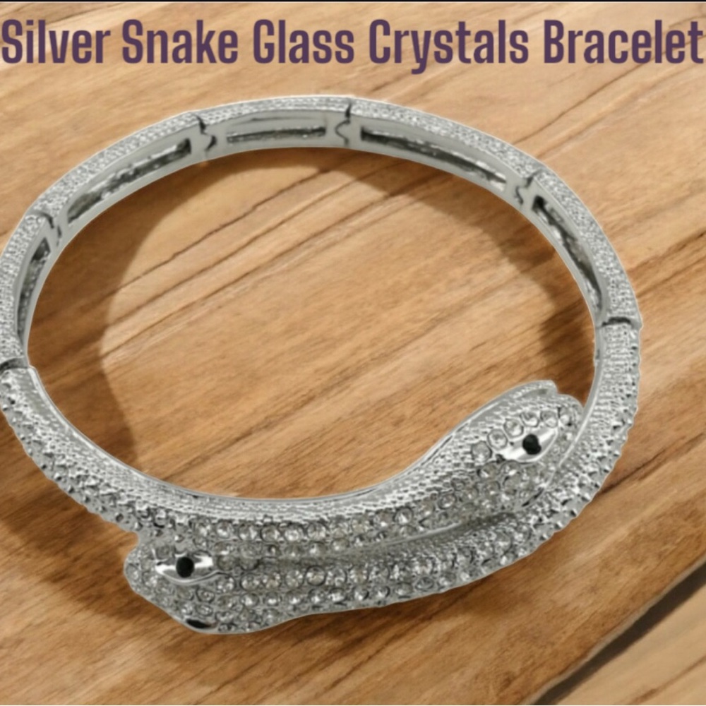 Silver Tone Snake 🐍 Adjustable Bracelet with Glass Crystals NWOT
